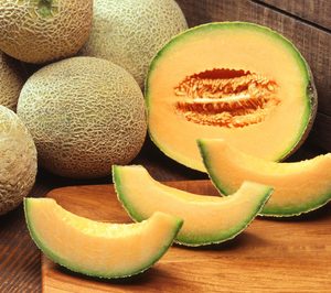 Nunhems apuesta por el sabor y los nuevos formatos para impulsar el melón y la sandía