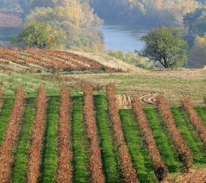 Sierra Cantabria compra las instalaciones de Bodegas Vélez