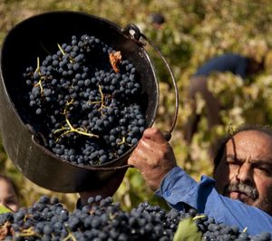 Bodega Pirineos invierte en biotecnología