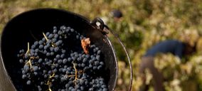 Bodega Pirineos invierte en biotecnología