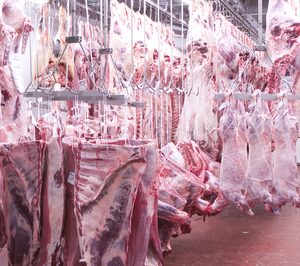 Grup Carn desarrolla la marca Angus Cat