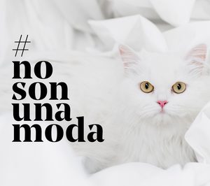 Campaña de Affinity para luchar contra el abandono de animales