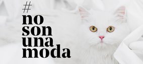 Campaña de Affinity para luchar contra el abandono de animales