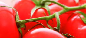 Una importante hortofrutícola levantina inicia la tramitación de un ERE