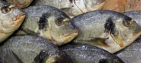 Skretting pone en marcha su tercera línea productiva