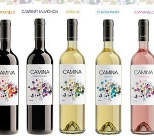 Cristo de la Vega facturará un 20% más este ejercicio