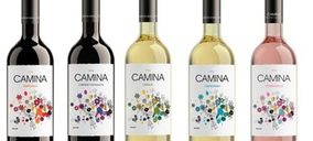 Cristo de la Vega facturará un 20% más este ejercicio