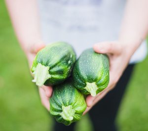 Informe 2017 del sector de frutas y hortalizas ecológicas