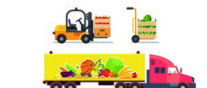 Informe 2017 del sector del Transporte hortofrutícola en España