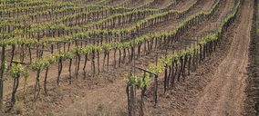 Extremadura gana a Cataluña la batalla del Cava