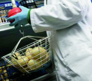 GV Zamorano invierte en un nuevo centro y comienza a operar como grupo