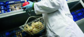 GV Zamorano invierte en un nuevo centro y comienza a operar como grupo