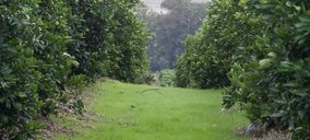 Edeka, Iberhanse y WWF, en pro de los cultivos sostenibles de cítricos