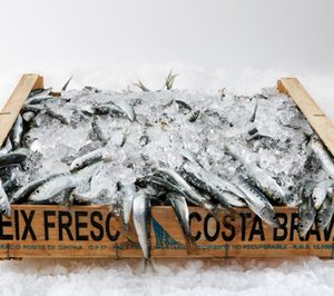 Ulabox amplía su pescadería online tras su alianza con Grup Ros