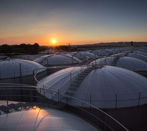 Félix Solís Avantis, la bodega española que manda en el mercado nipón