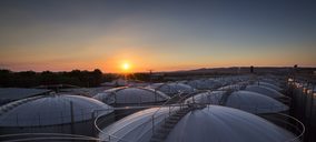Félix Solís Avantis, la bodega española que manda en el mercado nipón