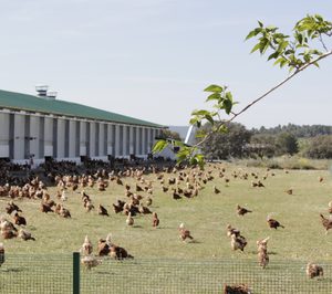 Huevos Guillén, ambiciosa inversión en sistemas de producción alternativos