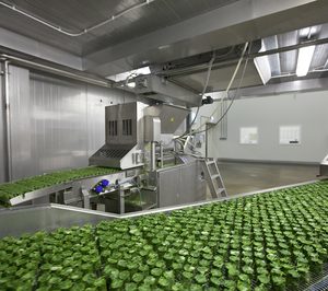 Ultracongelados de la Ribera gira hacia la producción ecológica