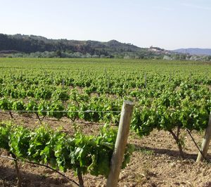 Castell DOr refuerza su capacidad con la compra de una embotelladora