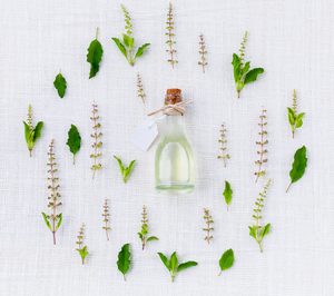 EMSA continúa creciendo a doble dígito