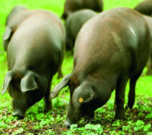 Calderón y Ramos recupera ingresos y dobla las exportaciones