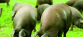 Calderón y Ramos recupera ingresos y dobla las exportaciones