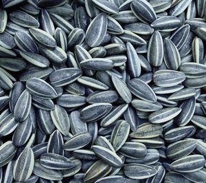 Un 52% de las importaciones de pipas proceden de EE.UU.