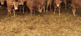 Dehesa Grande invierte en un nuevo centro de tipificación de vacuno