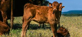 Coren se queda con los activos de Artesanos Gallegos de la Carne