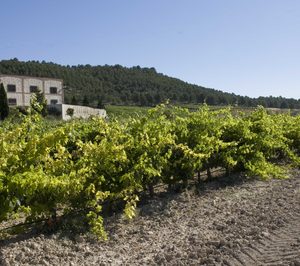 Bodegas Matarromera ejecutará nuevos proyectos inversores en 2018