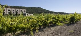 Bodegas Matarromera ejecutará nuevos proyectos inversores en 2018