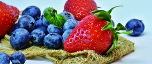 Informe 2018 del mercado de Fresas y Berries