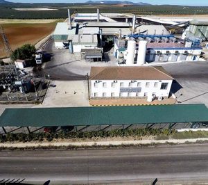 Dcoop crea una nueva sección vinculada al aceite de oliva