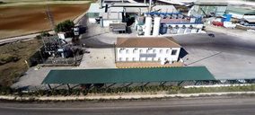Dcoop crea una nueva sección vinculada al aceite de oliva