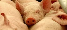 Vall Companys entra en el capital de un matadero y sala de despiece