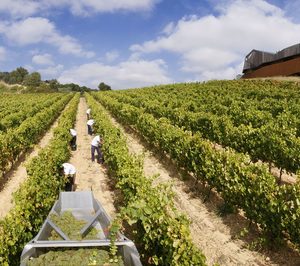 Bodegas Valdemar, Vintae y Grandes Pagos se adhieren a la FEV