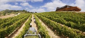 Bodegas Valdemar, Vintae y Grandes Pagos se adhieren a la FEV