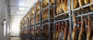 Informe 2018 del sector de jamón blanco
