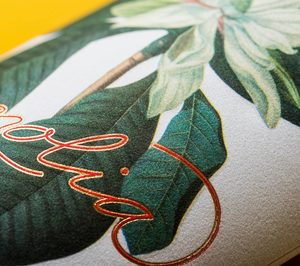 Las nuevas etiquetas de Adco impactan en los sentidos