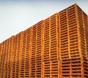 Mundopalet vuelve a crecer a ritmos de dos dígitos