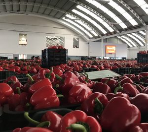 La Unión crece un 24% mientras desarrolla nuevos proyectos
