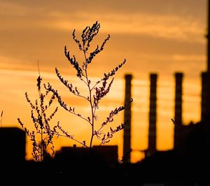 La demanda de cemento vuelve a crecer al 12%