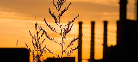 La demanda de cemento vuelve a crecer al 12%