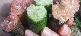 Earmur comercializará caviar cítrico antes de finalizar el presente ejercicio