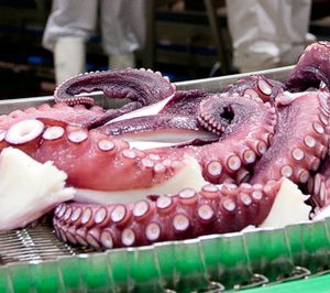 Discefa pulveriza previsiones y marca su estrategia e inversiones en pulpo