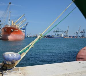 PortCastelló sacará a concurso una nueva terminal de graneles sólidos