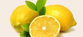 El grupo Citri&Co incorpora al especialista en limón Perales y Ferrer