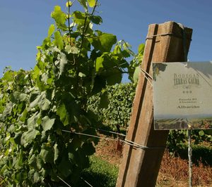 Nueve grupos bodegueros impulsan un innovador proyecto enoturístico