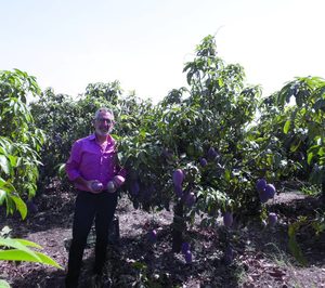 José Gómez ( Grupo Hermanos Martín): “La frutería es el corazón de nuestro Mercado de Frescos”