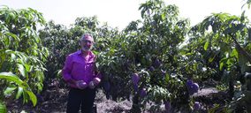 José Gómez ( Grupo Hermanos Martín): “La frutería es el corazón de nuestro Mercado de Frescos”